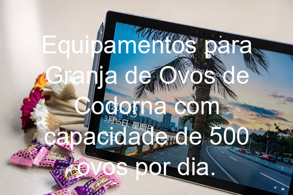 Equipamentos para Granja de Ovos de Codorna com capacidade de 500 ovos por dia.