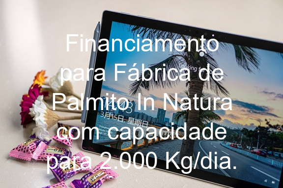 Financiamento para Fábrica de Palmito In Natura com capacidade para 2.000 Kg/dia.