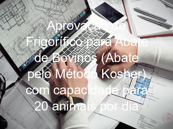 Aprovação de Frigorífico para Abate de Bovinos (Abate pelo Método Kosher) com capacidade para 20 animais por dia