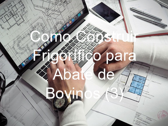 Como Construir Frigorífico para Abate de Bovinos (3)
