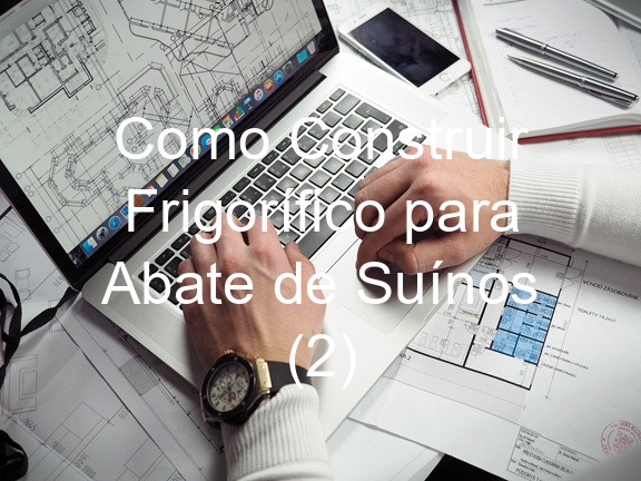 Como Construir Frigorífico para Abate de Suínos (2)