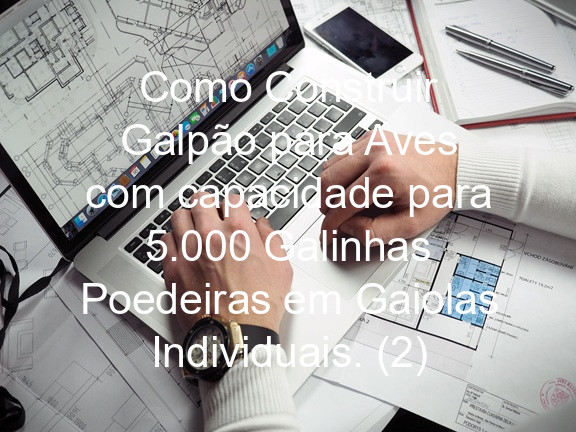 Como Construir Galpão para Aves com capacidade para 5.000 Galinhas Poedeiras em Gaiolas Individuais. (2)