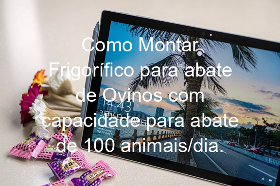 Como Montar Frigorífico para abate de Ovinos com capacidade para abate de 100 animais/dia.