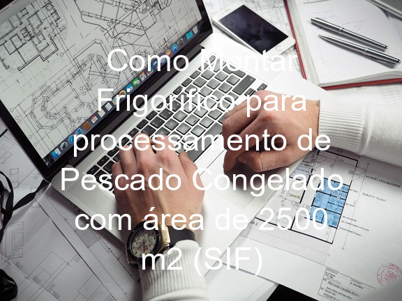 Como Montar Frigorífico para processamento de Pescado Congelado com área de 2500 m2 (SIF)