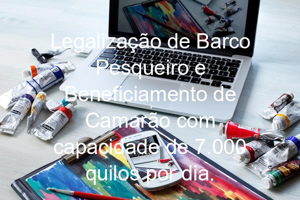 Legalização de Barco Pesqueiro e Beneficiamento de Camarão com capacidade de 7.000 quilos por dia.