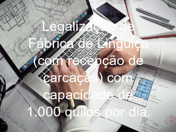 Legalização de Fábrica de Linguiça (com recepção de carcaças) com capacidade de 1.000 quilos por dia.