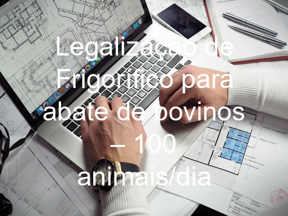 Legalização de Frigorífico para abate de bovinos – 100 animais/dia