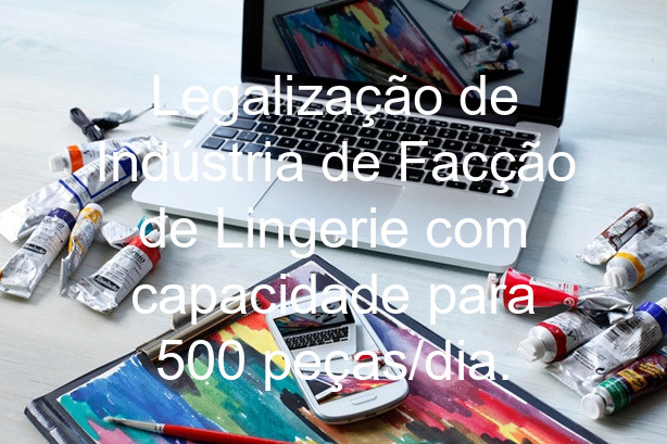 Legalização de Indústria de Facção de Lingerie com capacidade para 500 peças/dia.