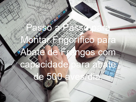 Passo a Passo para Montar Frigorífico para Abate de Frangos com capacidade para abate de 500 aves/dia.