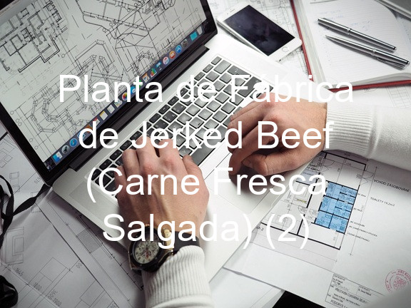 Planta de Fábrica de Jerked Beef (Carne Fresca Salgada) (2)