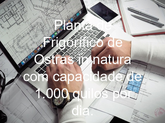 Planta de Frigorífico de Ostras in natura com capacidade de 1.000 quilos por dia.