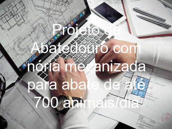 Projeto de Abatedouro com nória mecanizada para abate de até 700 animais/dia