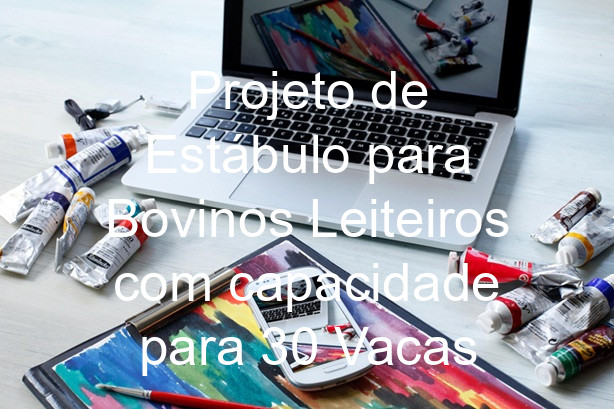 Projeto de Estábulo para Bovinos Leiteiros com capacidade para 30 Vacas